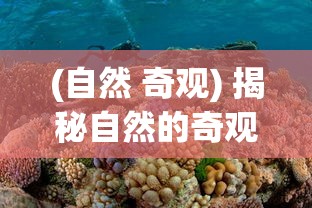 (自然 奇观) 揭秘自然的奇观：从珊瑚礁的缤纷世界到南美洲迷人的花朵，探索地球上无与伦比的物种多样性